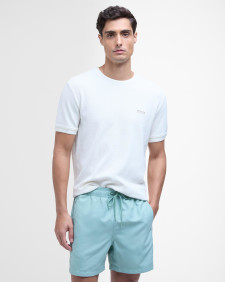 Large Logo Swim Shorts Granite Green