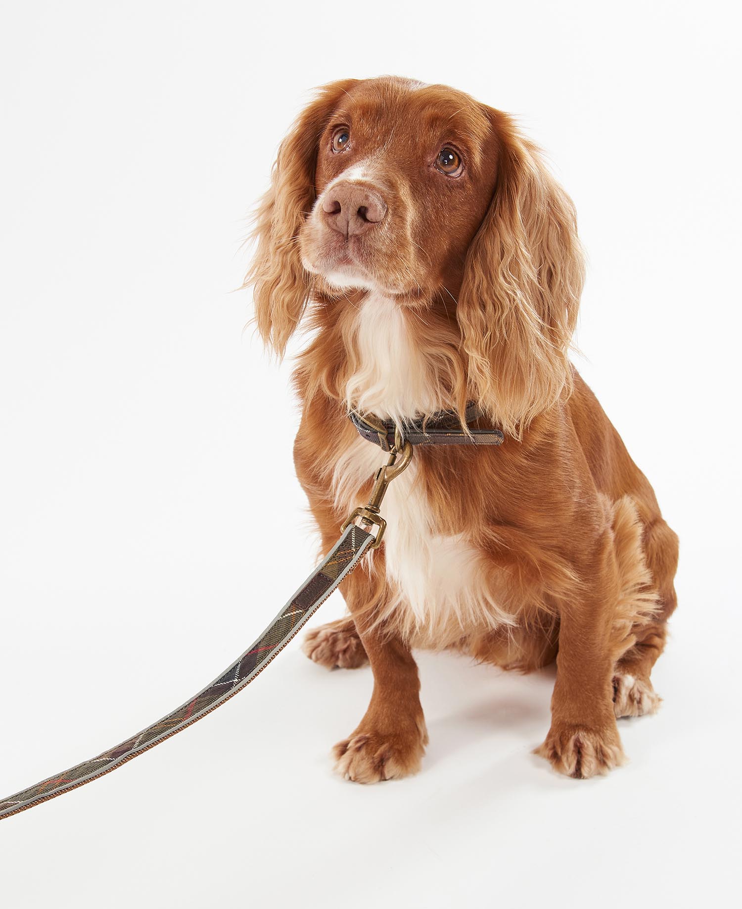 Reflective Tartan Dog Lead image number 1