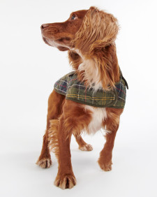 Tartan Dog Coat Classic